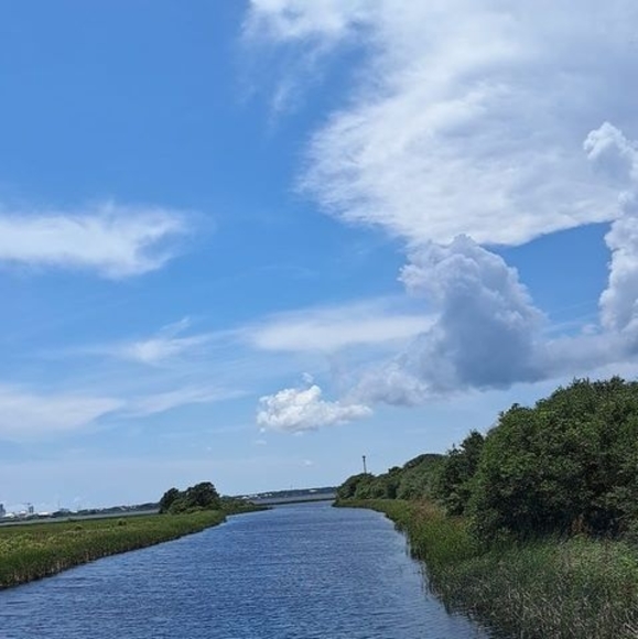 Meet your Posher, Lillian - Picture 1 of 1